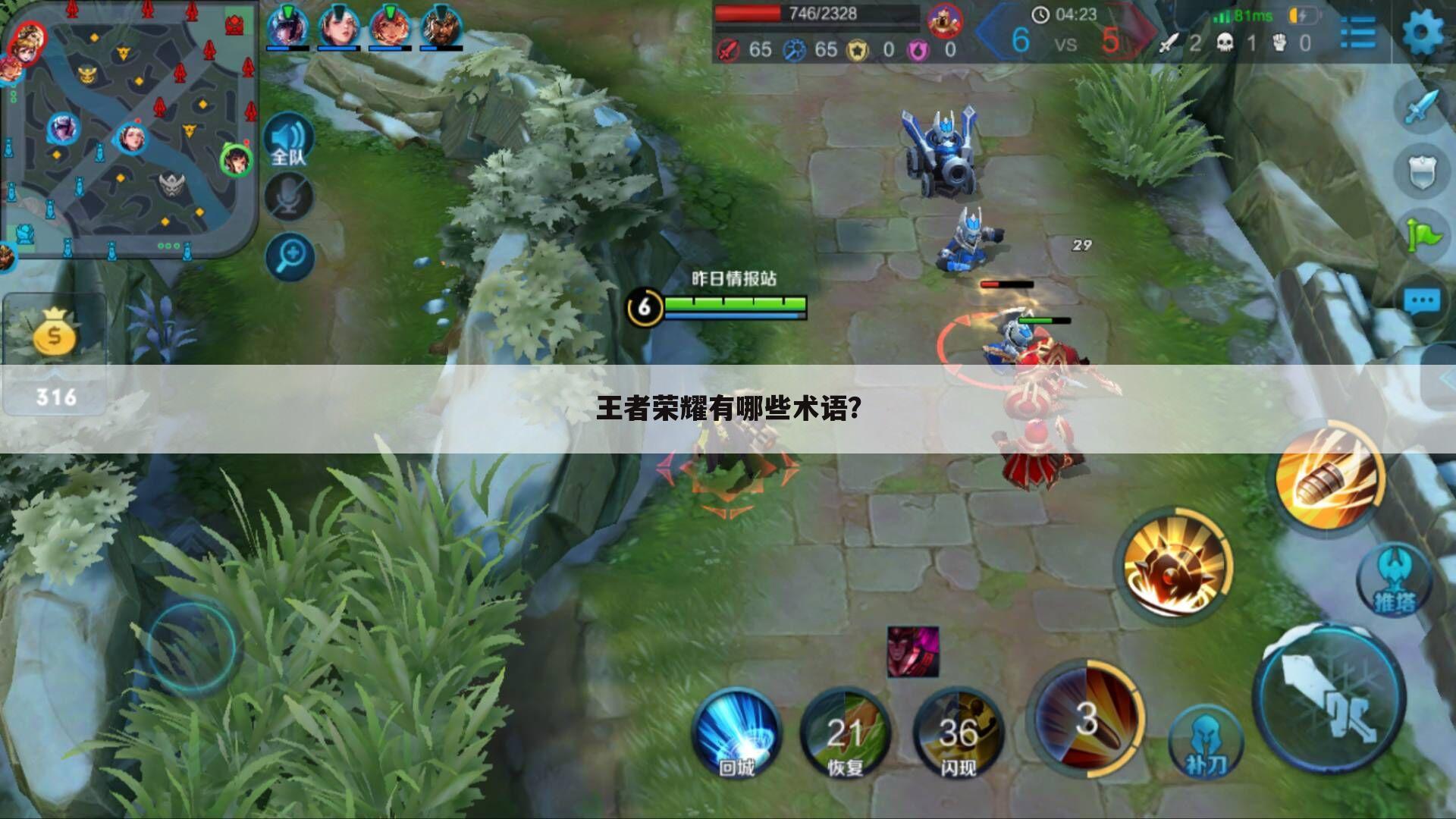 王者荣耀有哪些术语?