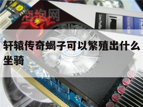轩辕传奇蝎子可以繁殖出什么坐骑
