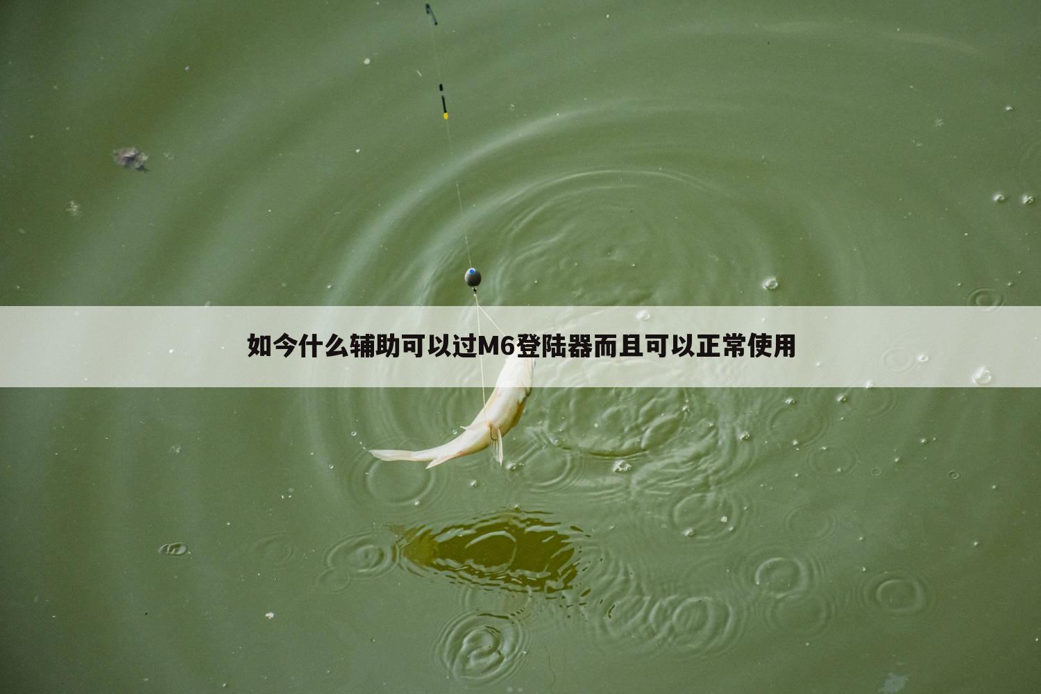 如今什么辅助可以过M6登陆器而且可以正常使用