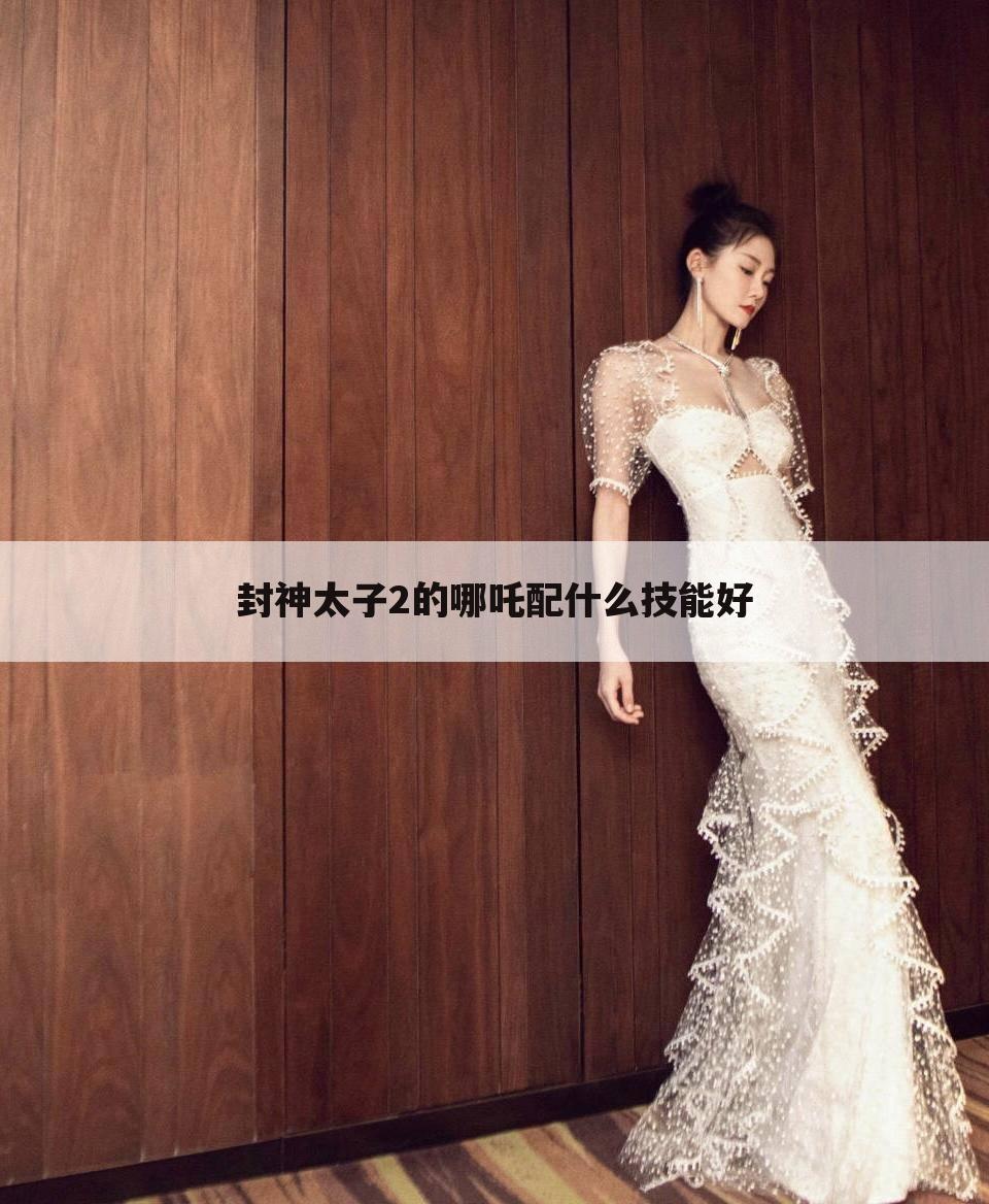 封神太子2的哪吒配什么技能好