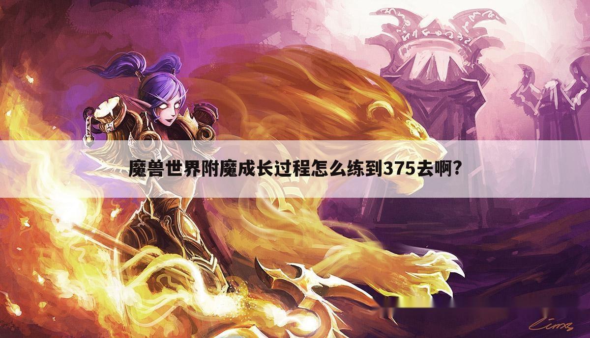 魔兽世界附魔成长过程怎么练到375去啊?