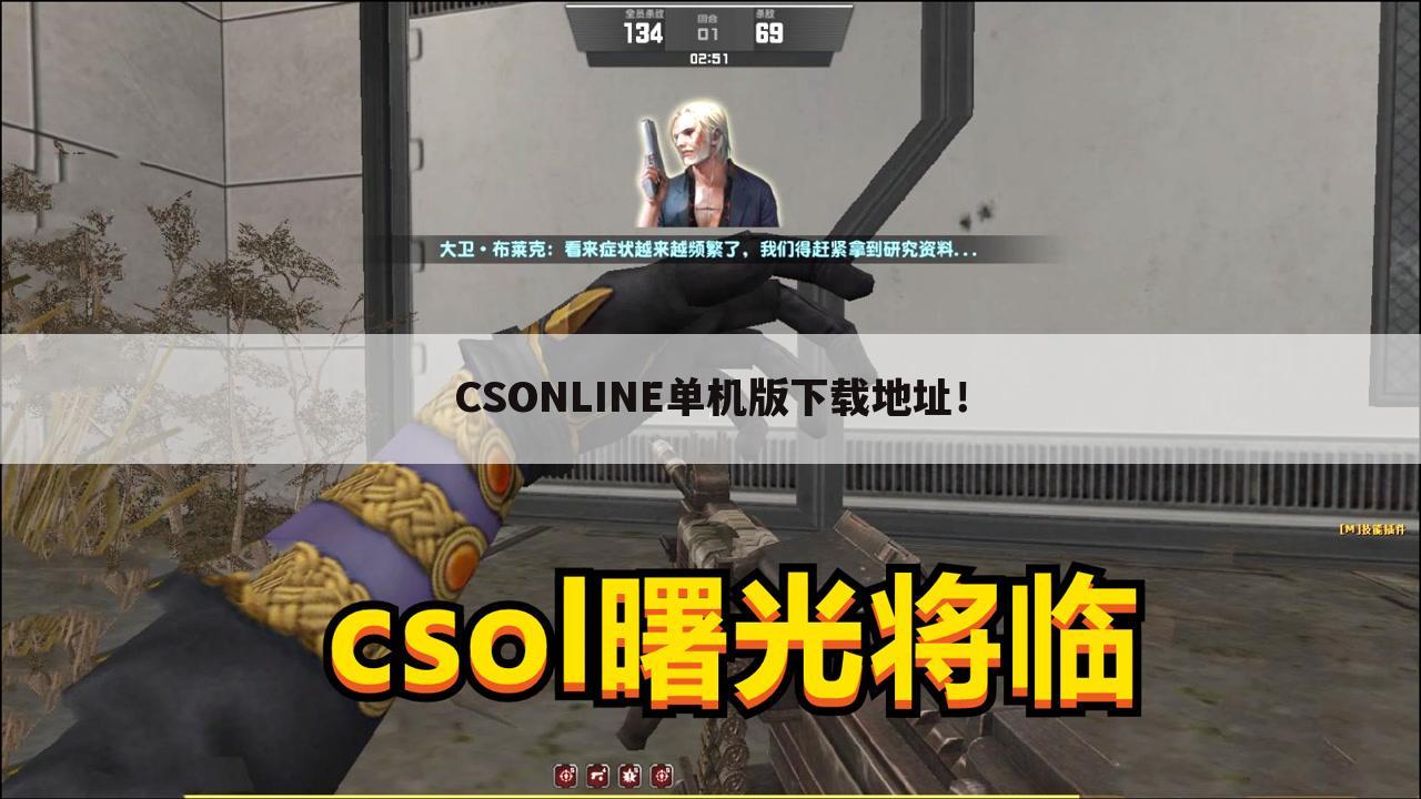 CSONLINE单机版下载地址!