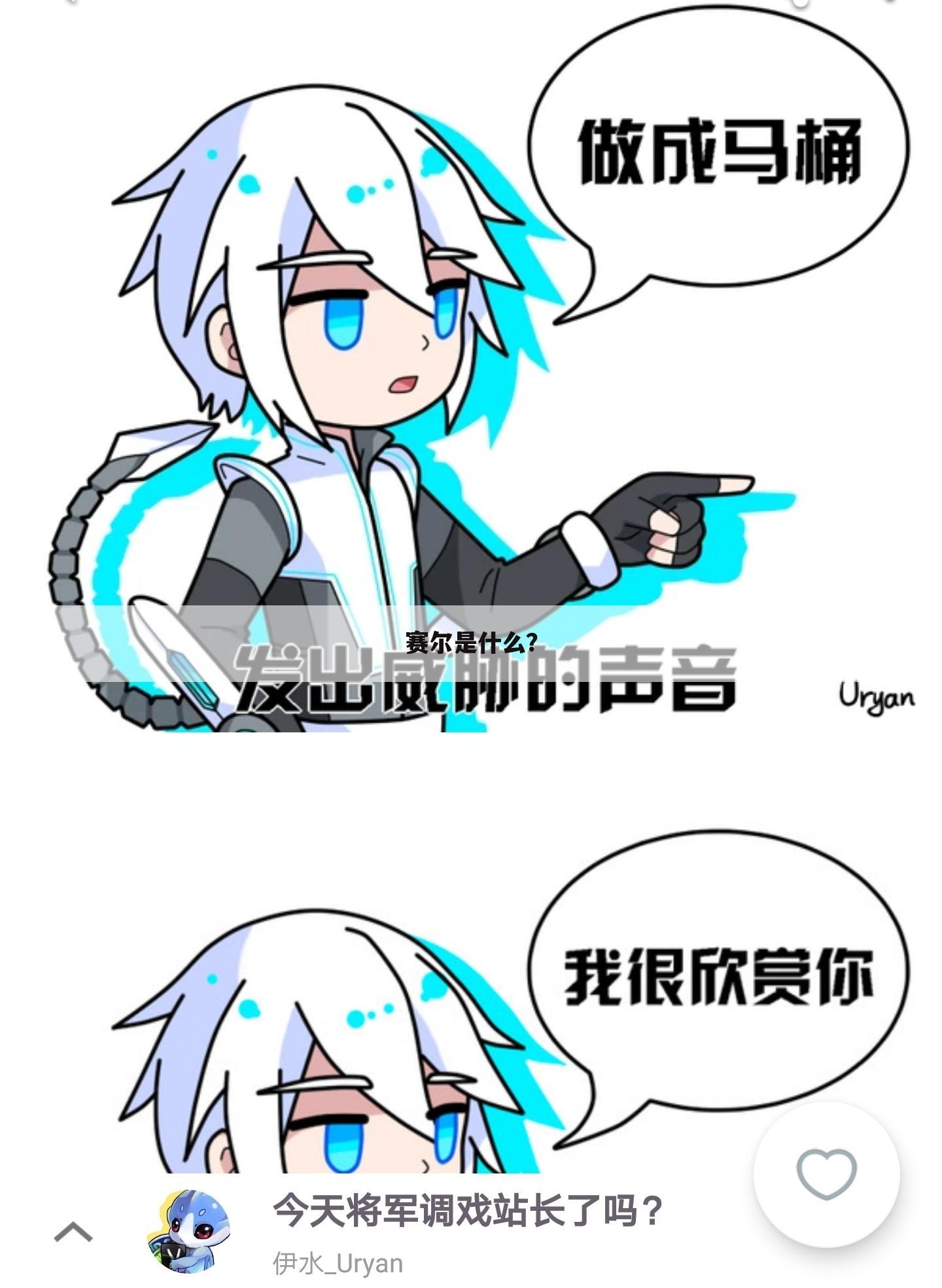 赛尔是什么?