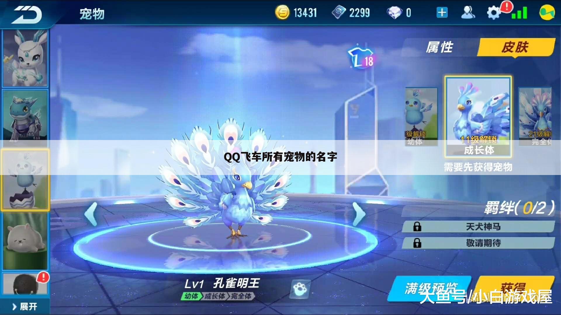 QQ飞车所有宠物的名字