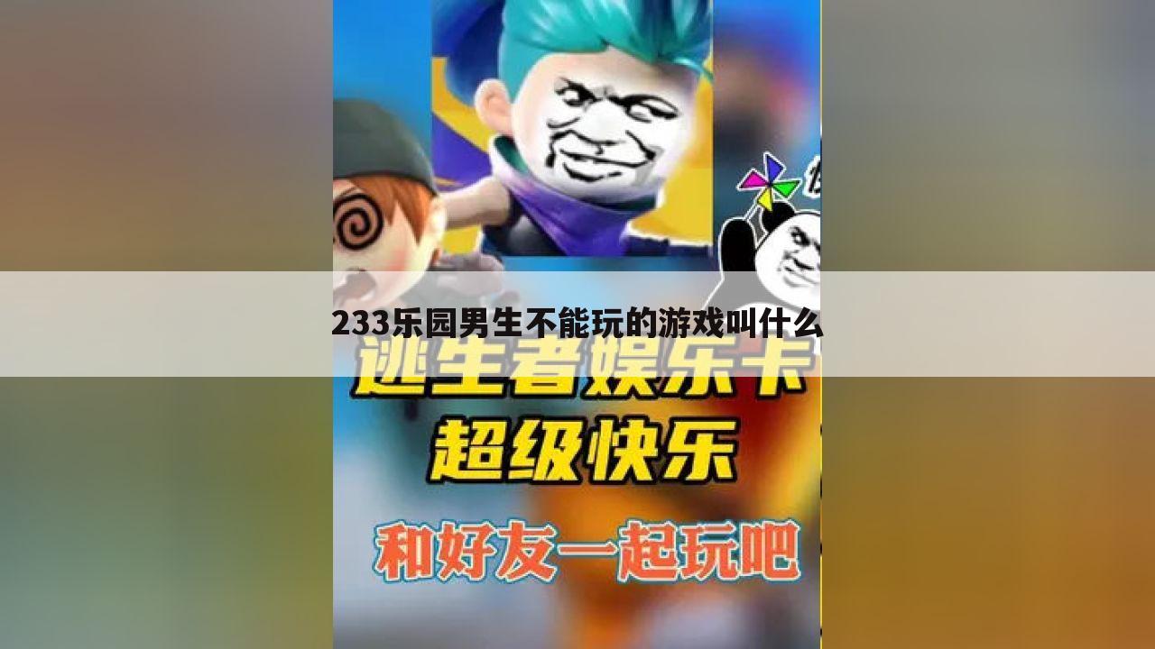 233乐园男生不能玩的游戏叫什么