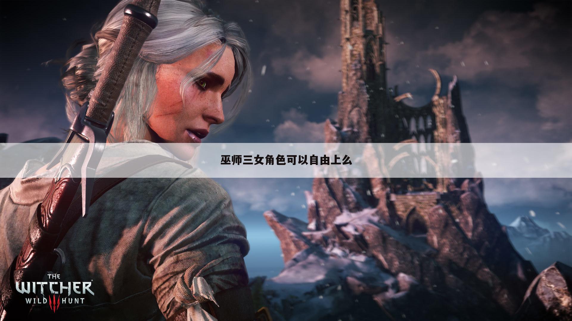 巫师三女角色可以自由上么