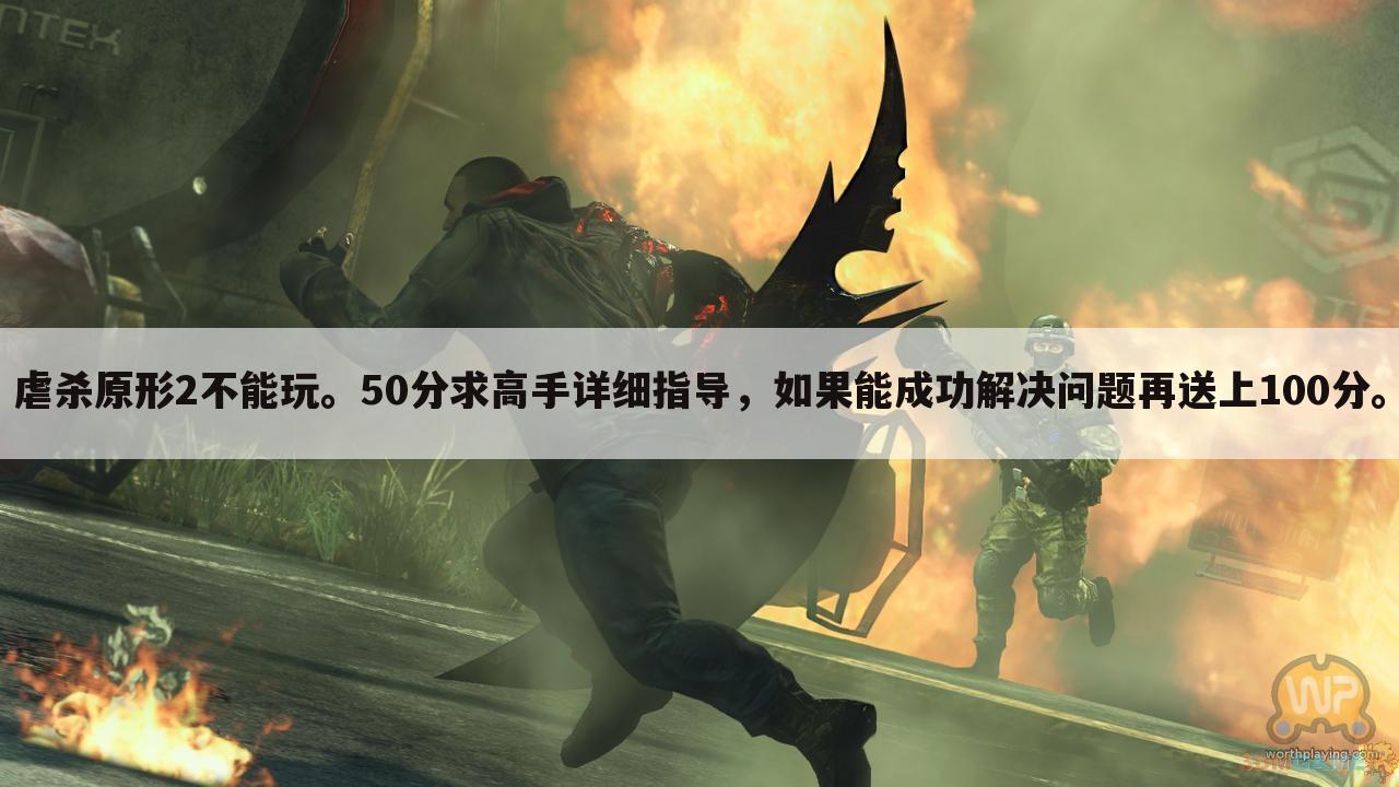 虐杀原形2不能玩。50分求高手详细指导,如果能成功解决问题再送上100分。