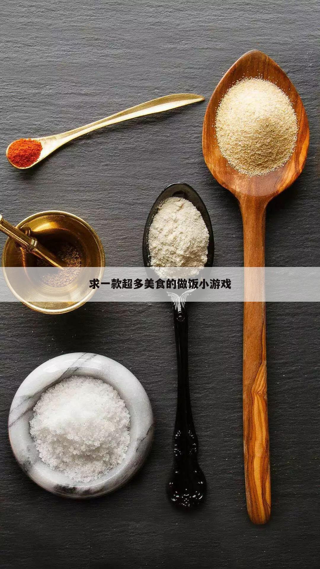 求一款超多美食的做饭小游戏