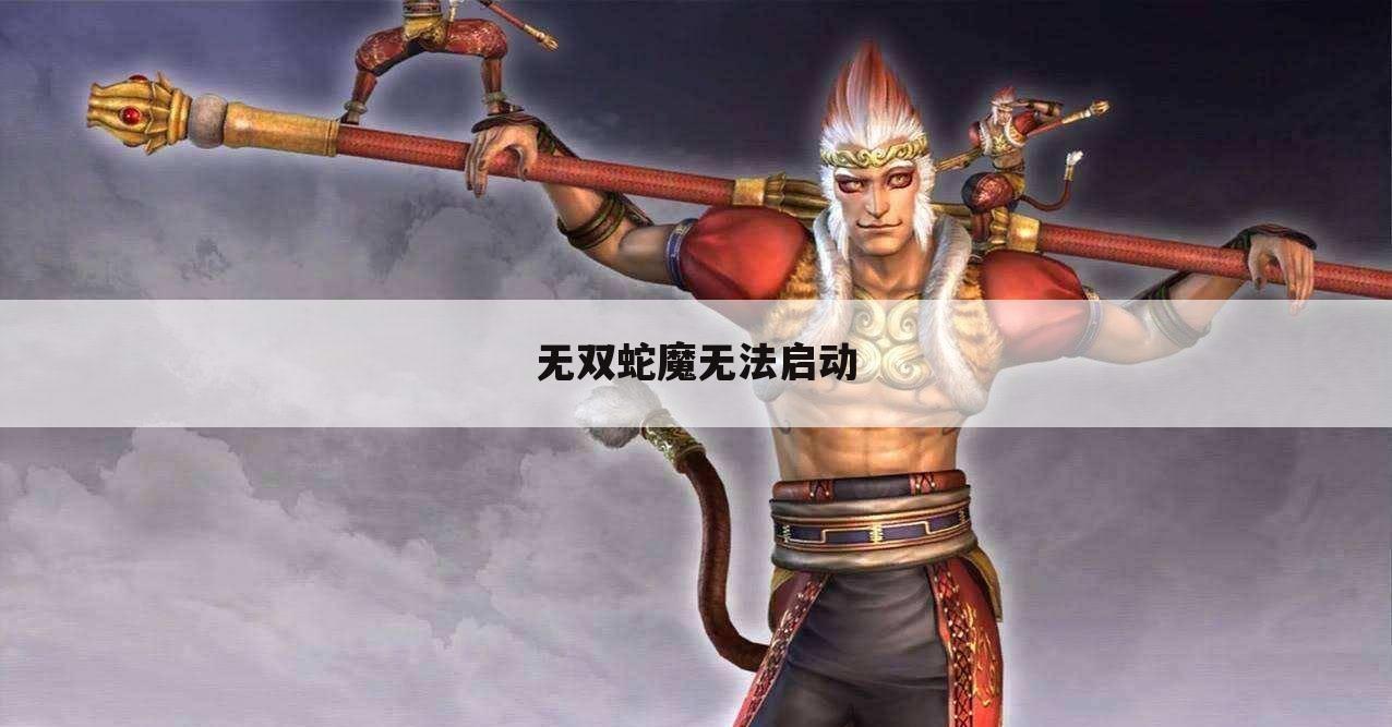 无双蛇魔无法启动
