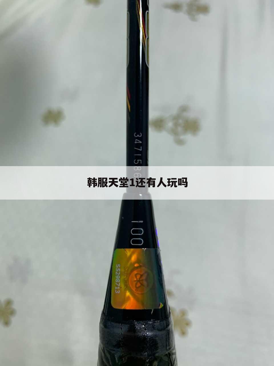 韩服天堂1还有人玩吗