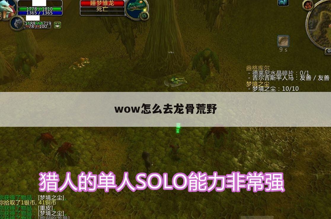 wow怎么去龙骨荒野