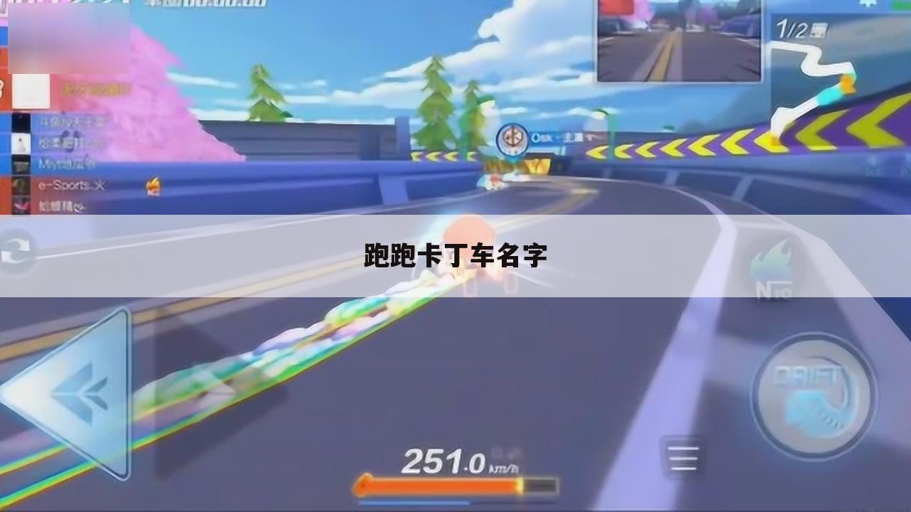 跑跑卡丁车名字