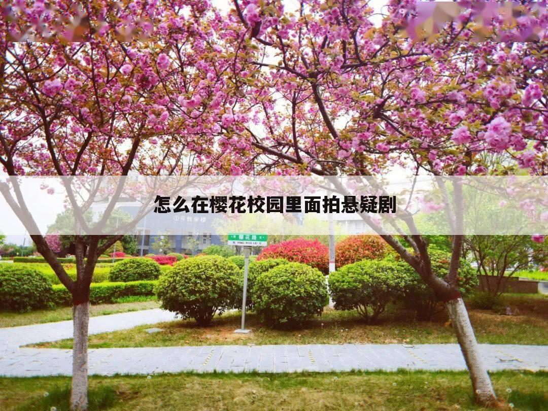 怎么在樱花校园里面拍悬疑剧