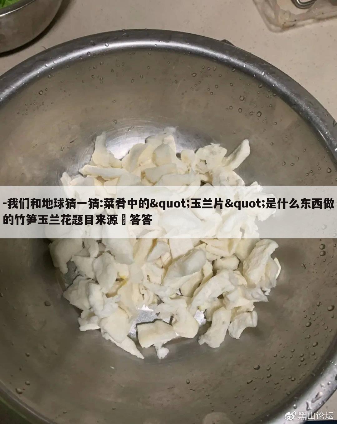 -我们和地球猜一猜:菜肴中的"玉兰片"是什么东西做的竹笋玉兰花题目来源﹣答答
