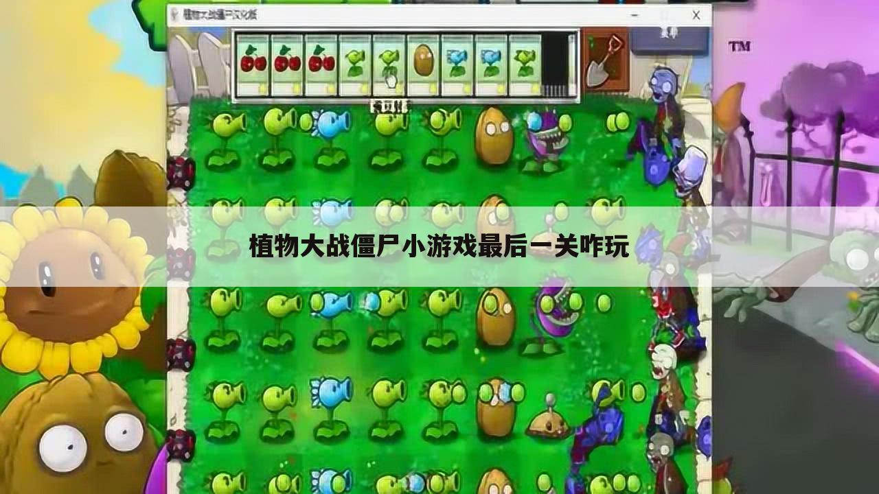 植物大战僵尸小游戏最后一关咋玩