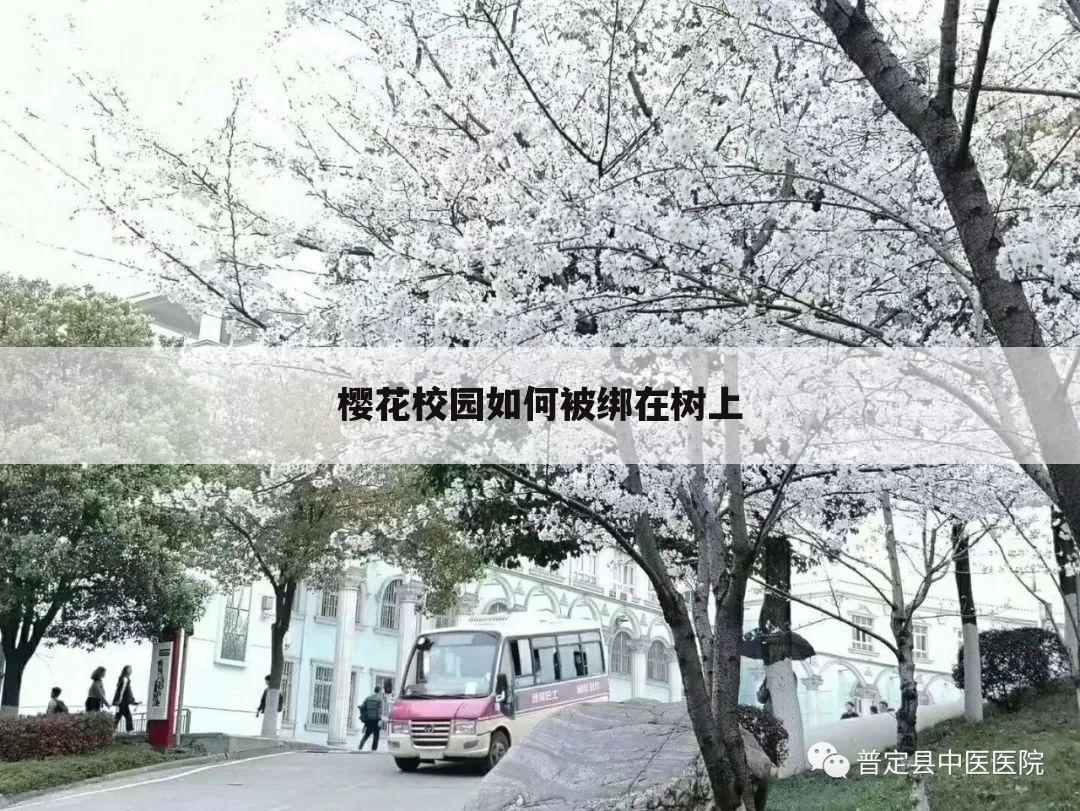 樱花校园如何被绑在树上