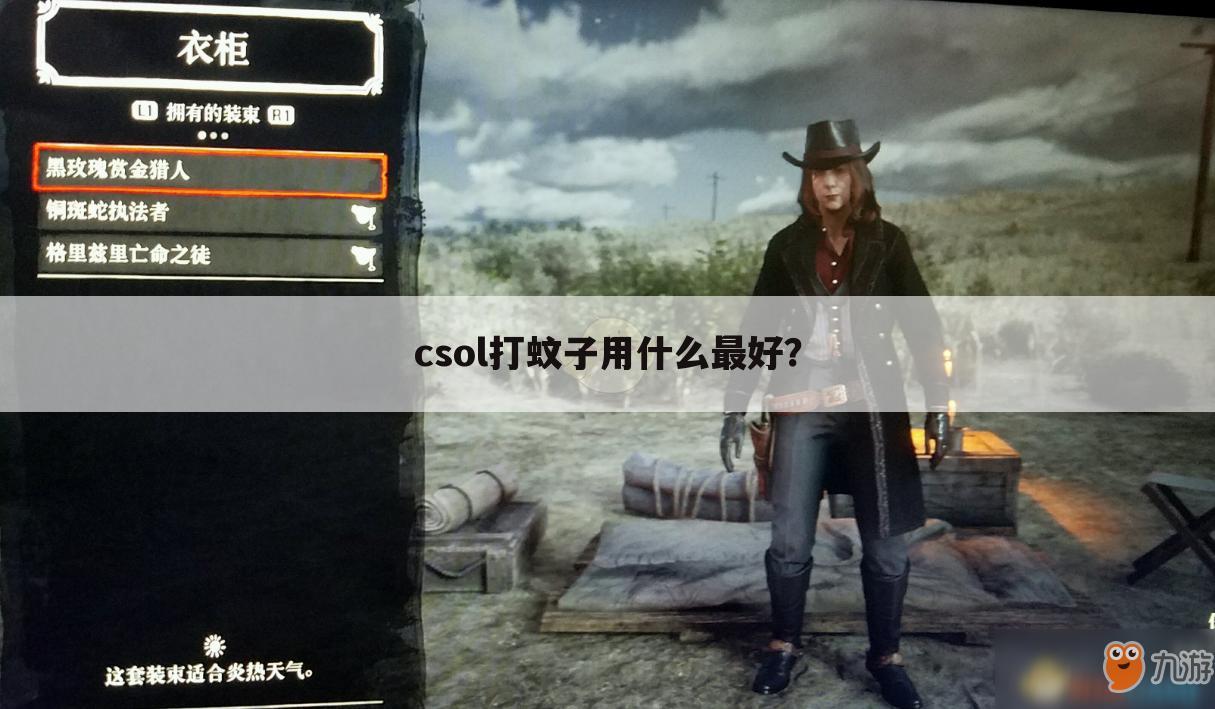 csol打蚊子用什么最好?