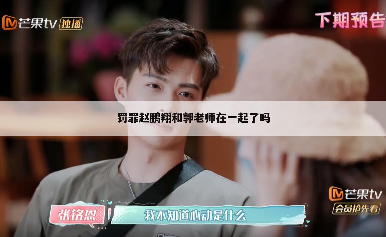 罚罪赵鹏翔和郭老师在一起了吗