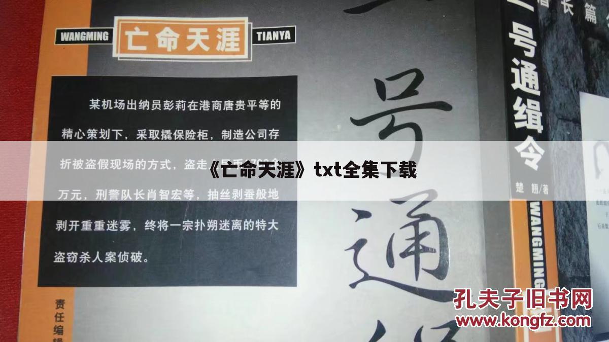 《亡命天涯》txt全集下载