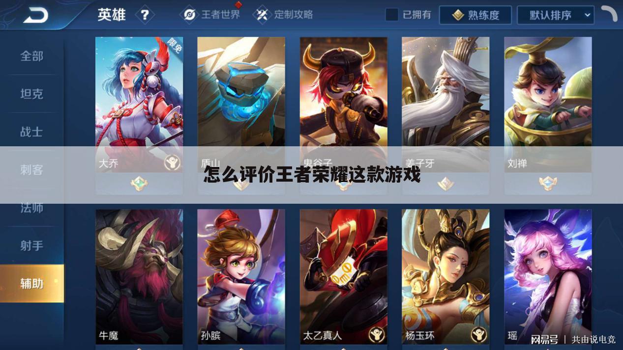 怎么评价王者荣耀这款游戏