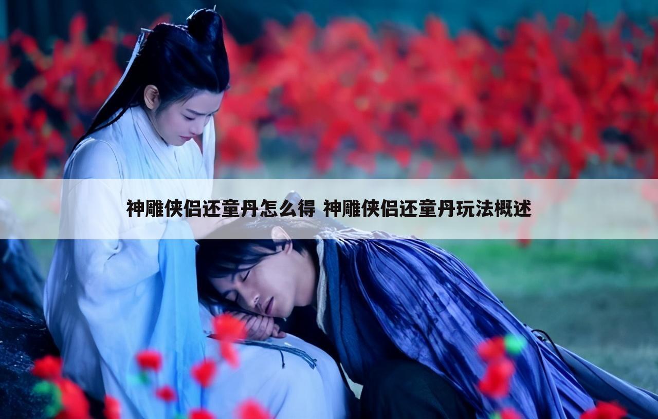 神雕侠侣还童丹怎么得 神雕侠侣还童丹玩法概述