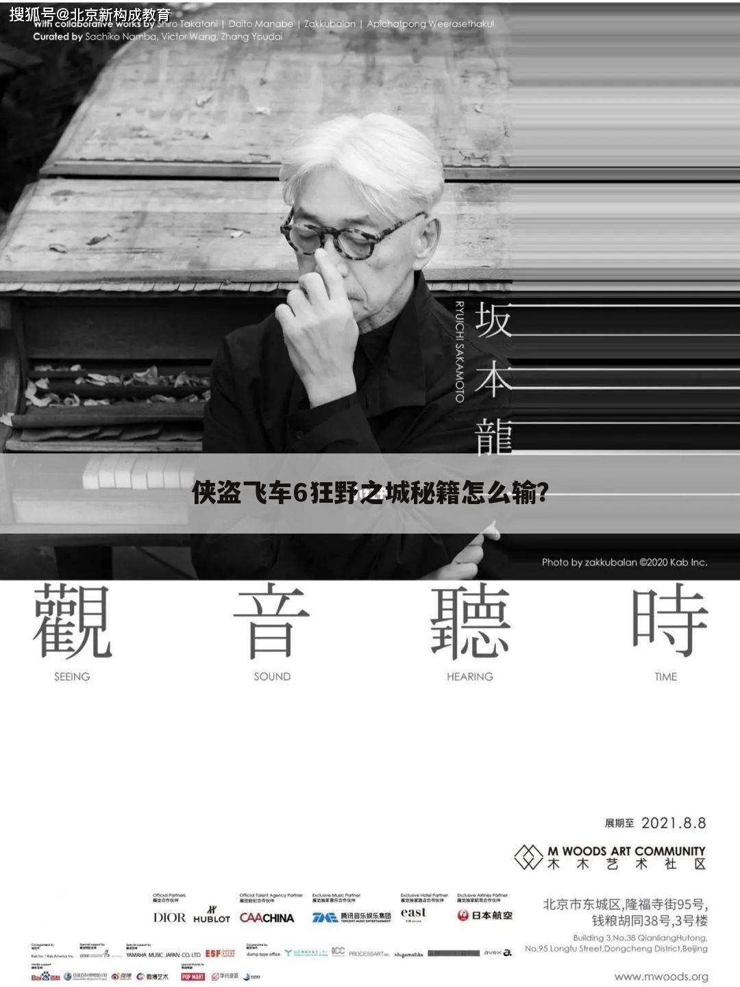 侠盗飞车6狂野之城秘籍怎么输?