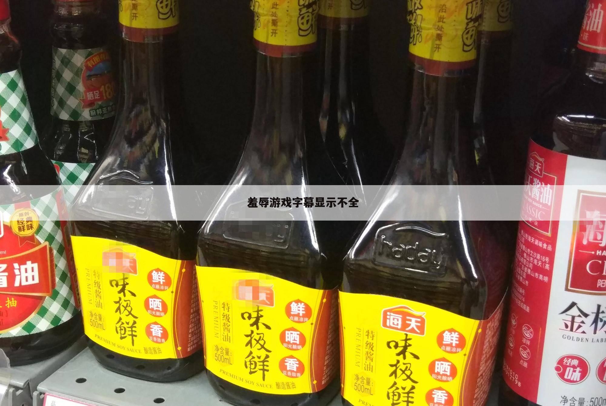 羞辱游戏字幕显示不全