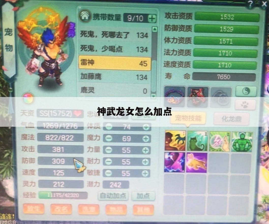神武龙女怎么加点