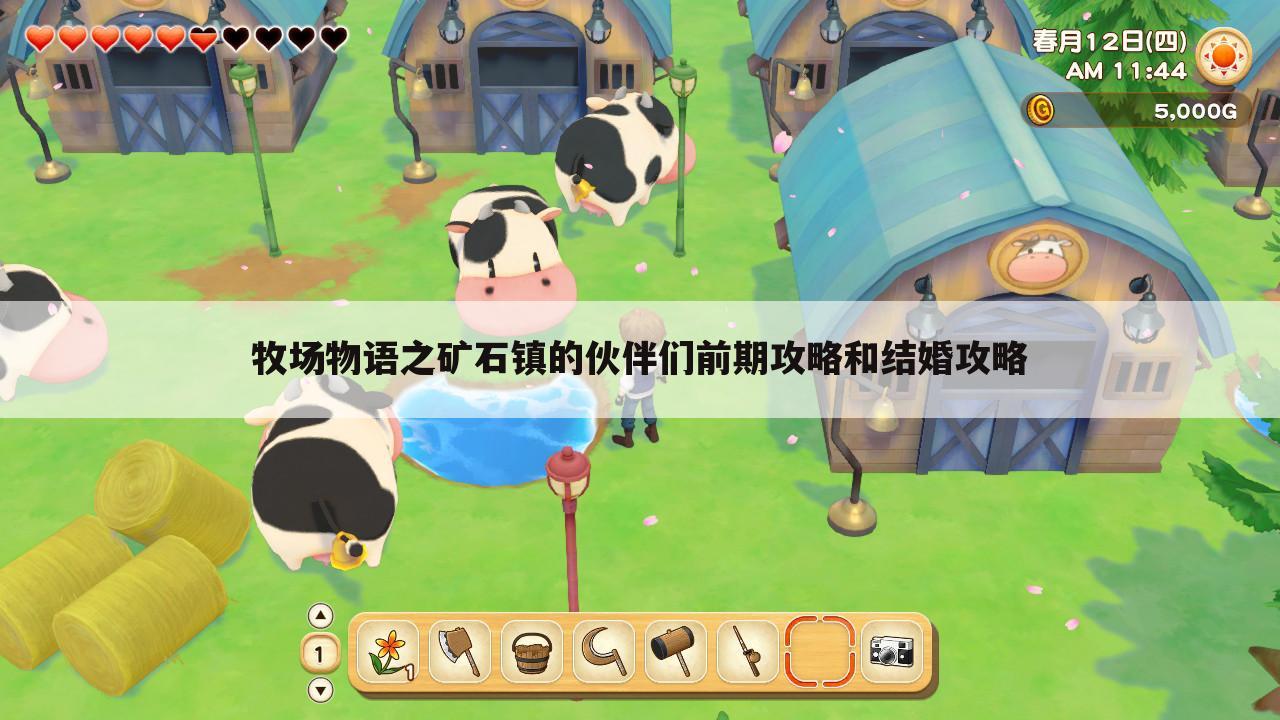 牧场物语之矿石镇的伙伴们前期攻略和结婚攻略