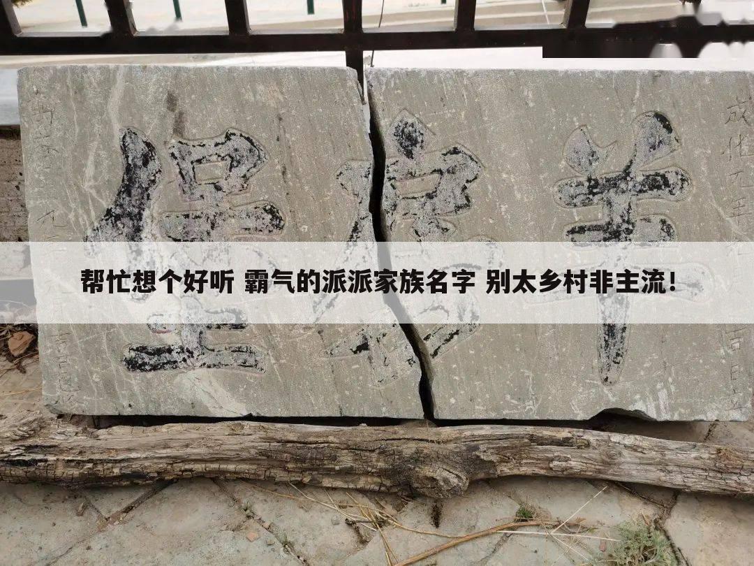 帮忙想个好听 霸气的派派家族名字 别太乡村非主流！