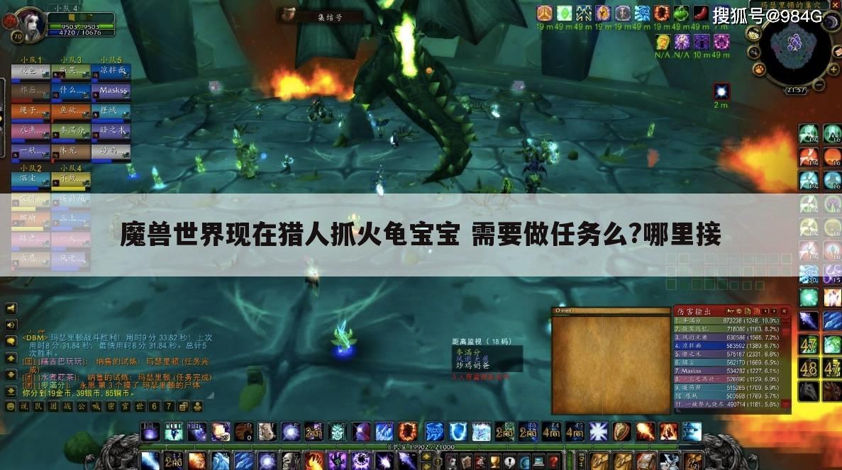 魔兽世界现在猎人抓火龟宝宝 需要做任务么?哪里接