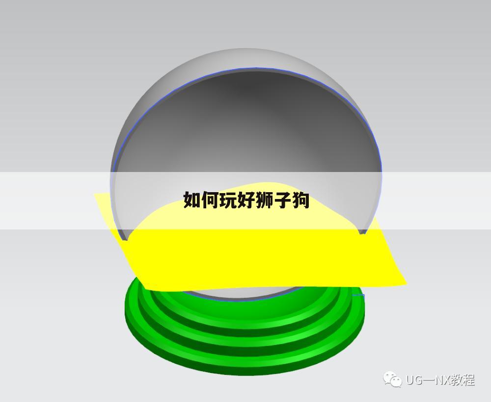 如何玩好狮子狗