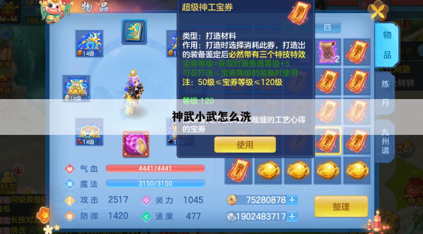 神武小武怎么洗