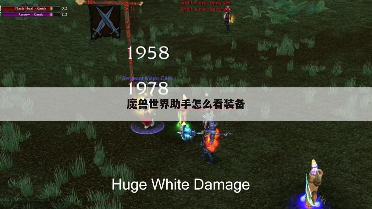 魔兽世界助手怎么看装备