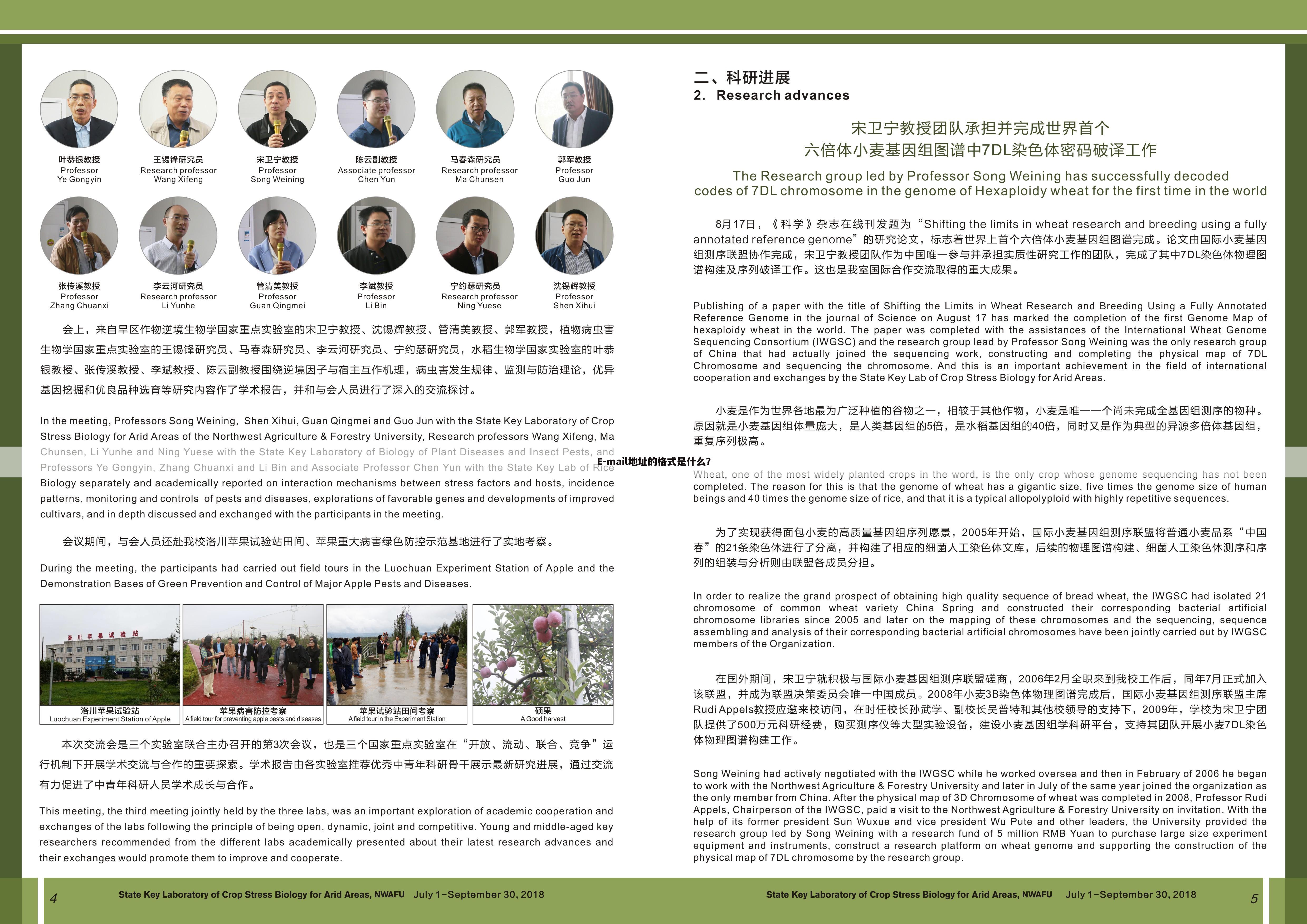 E-mail地址的格式是什么?