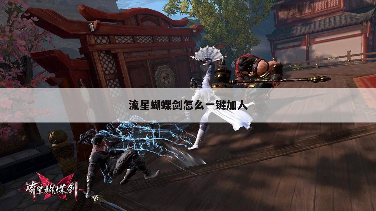 流星蝴蝶剑怎么一键加人