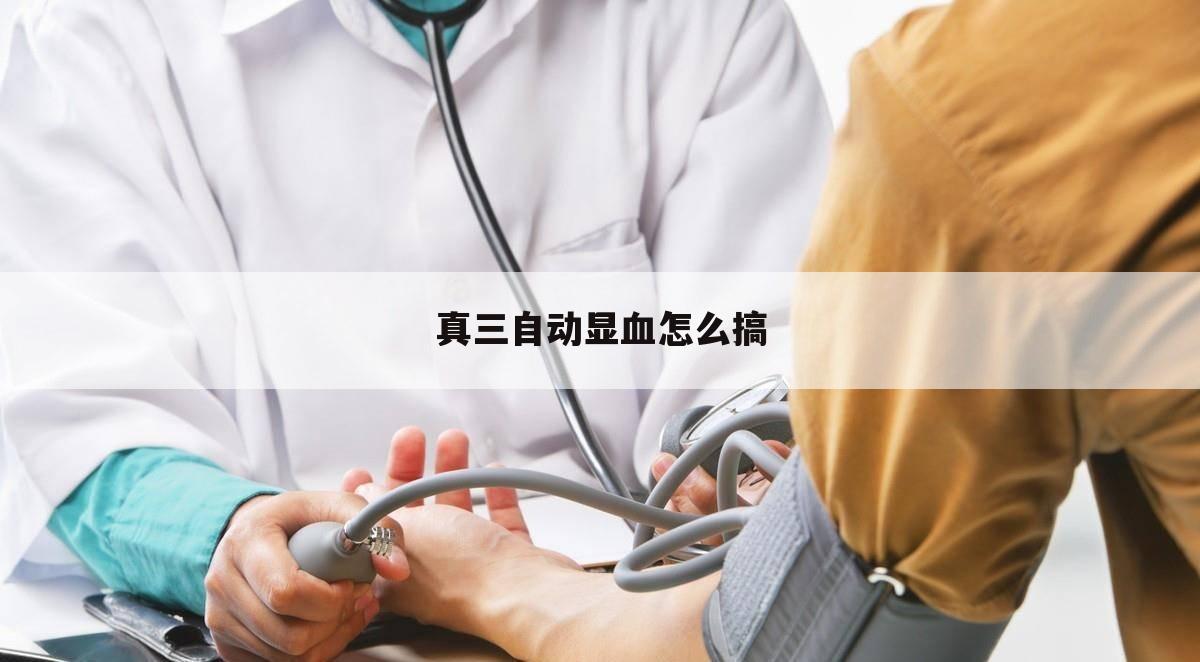 真三自动显血怎么搞