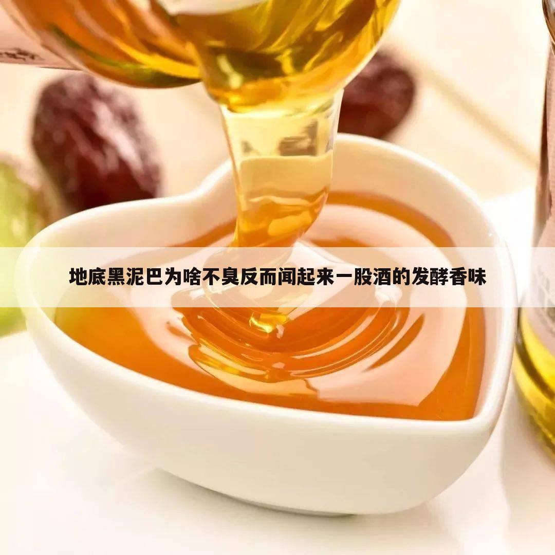 地底黑泥巴为啥不臭反而闻起来一股酒的发酵香味