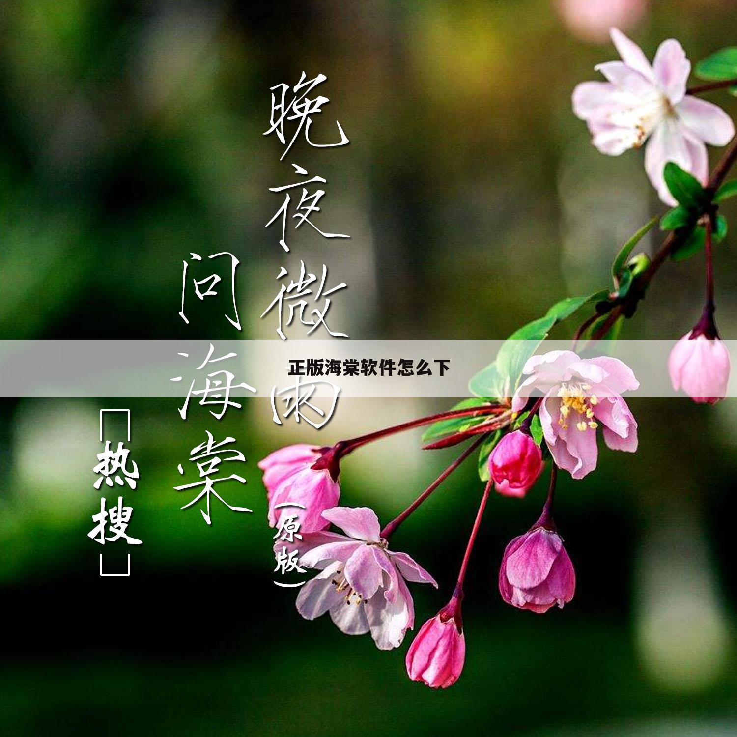 正版海棠软件怎么下