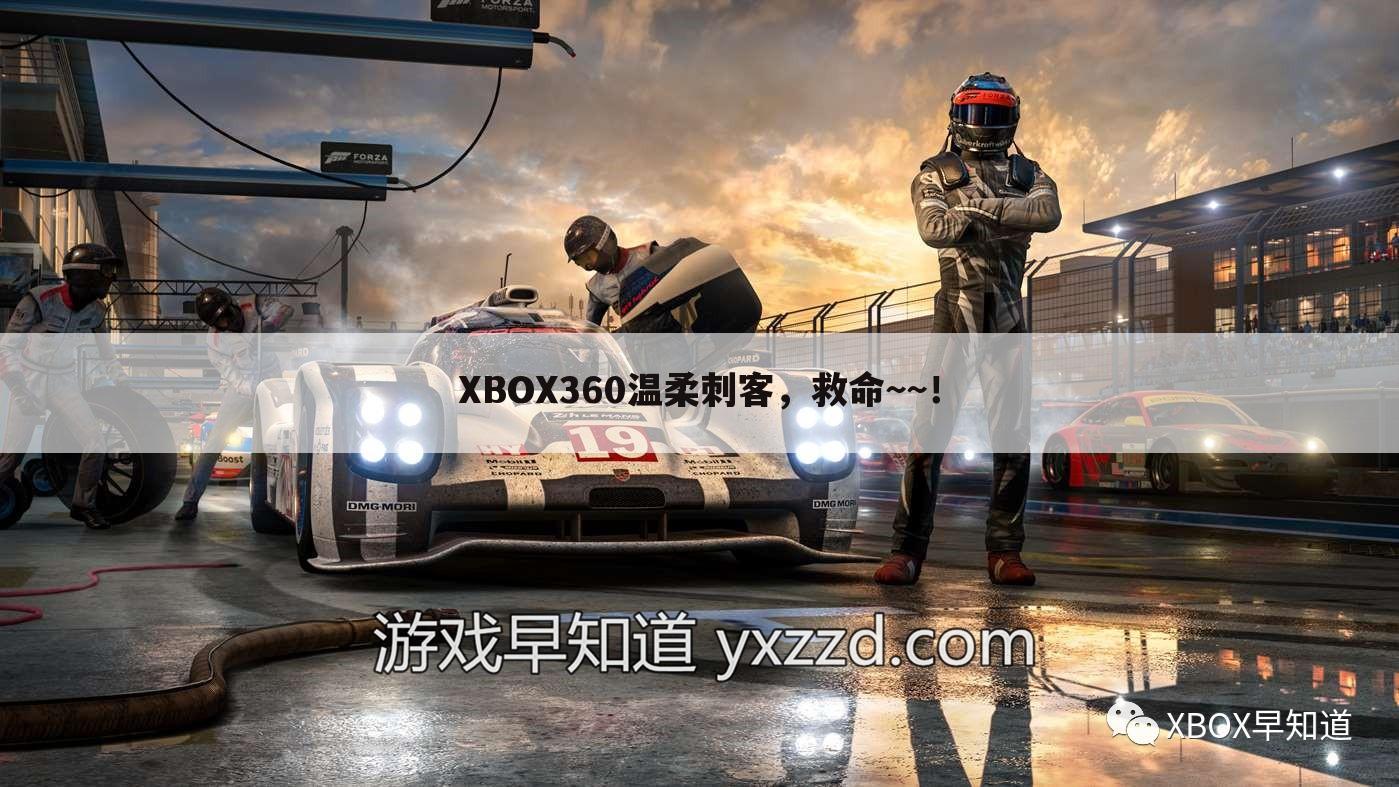XBOX360温柔刺客,救命~~!