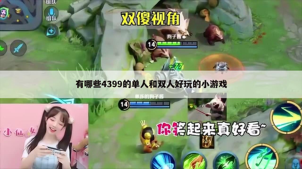 有哪些4399的单人和双人好玩的小游戏