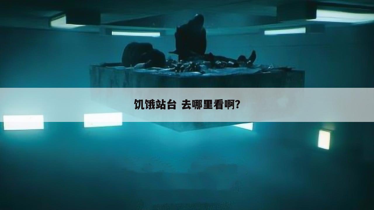 饥饿站台 去哪里看啊?
