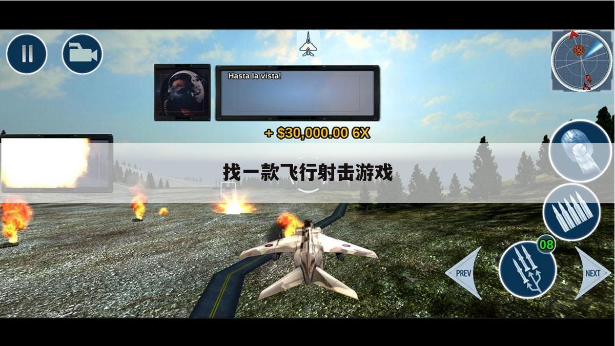 找一款飞行射击游戏