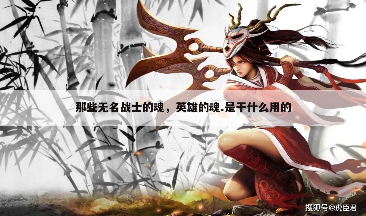 那些无名战士的魂,英雄的魂.是干什么用的