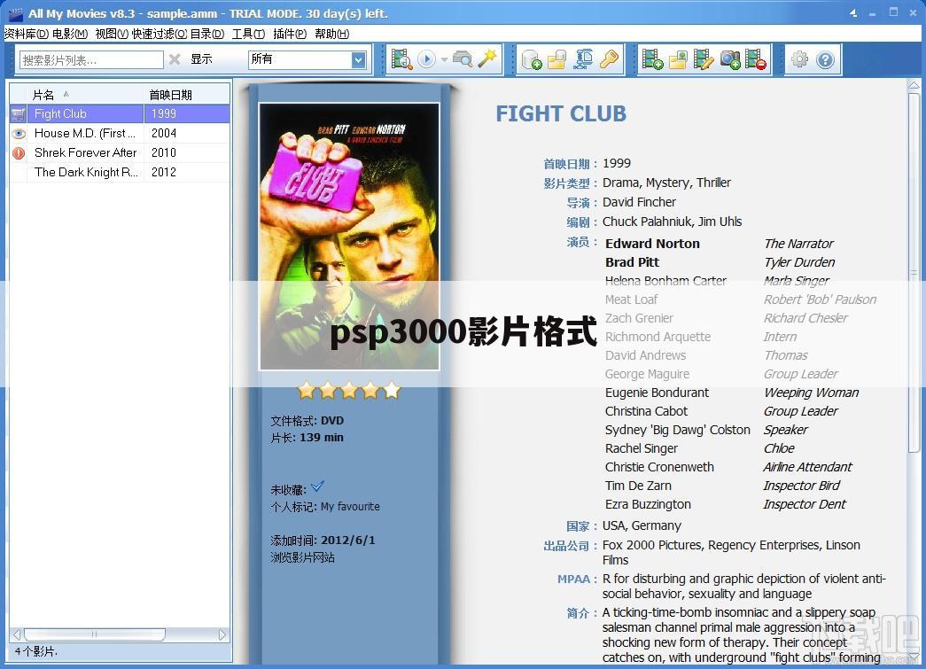 psp3000影片格式