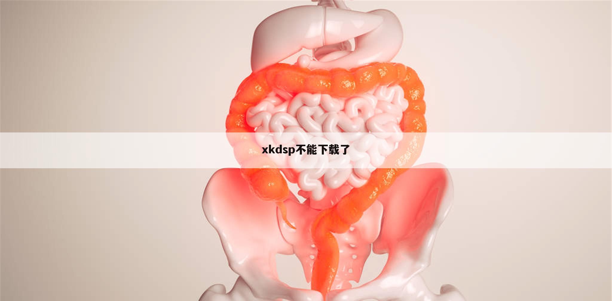 xkdsp不能下载了