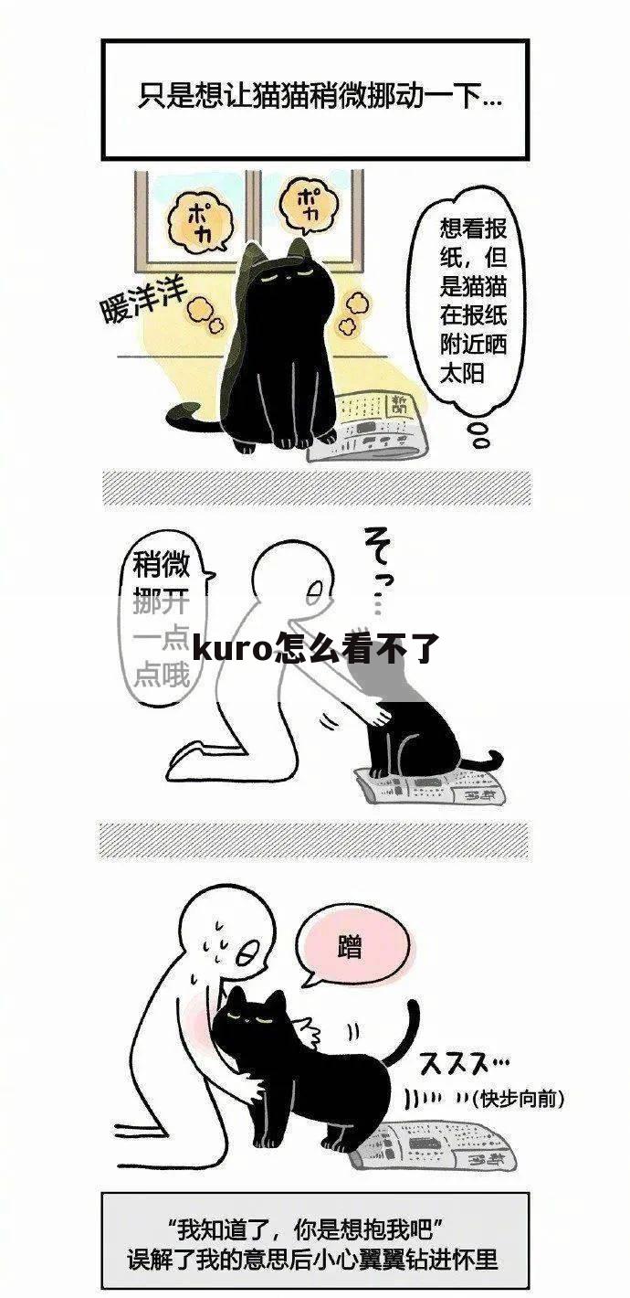 kuro怎么看不了