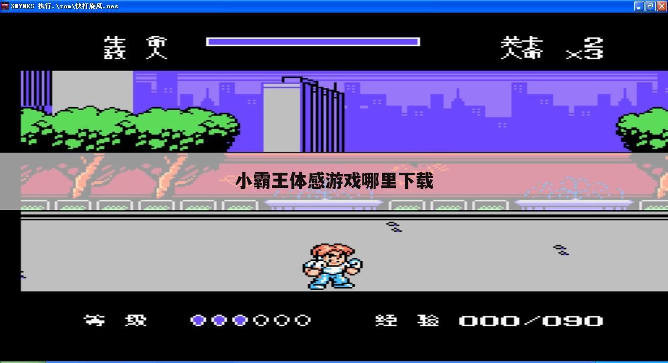 小霸王体感游戏哪里下载