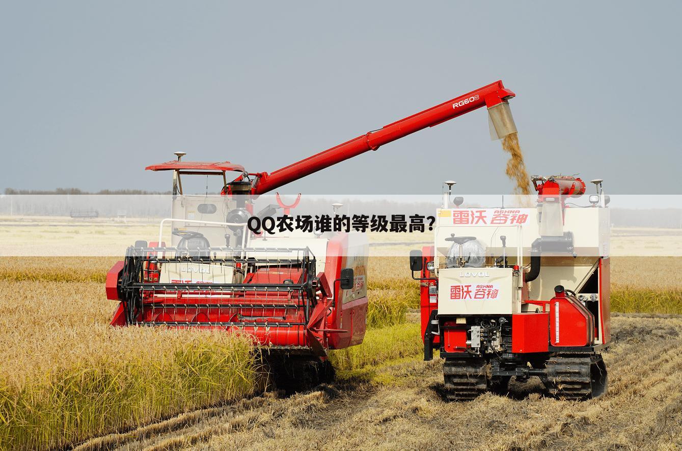 QQ农场谁的等级最高?