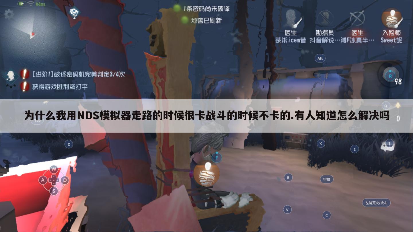 为什么我用NDS模拟器走路的时候很卡战斗的时候不卡的.有人知道怎么解决吗